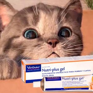 Hannah test assigned WH product