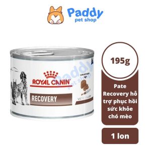 TOY VINYL - Đồ chơi tạ sọc